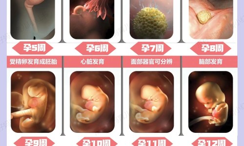 【桃花酒祛斑有效果吗】桃花祛斑有效果吗图片 - 桃花祛斑有效果吗网