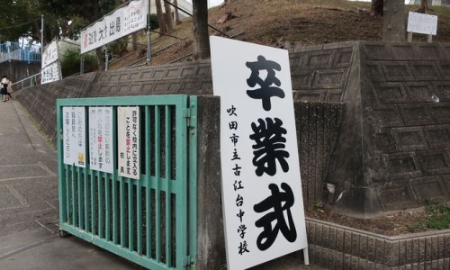 桃花可以祛斑吗-【桃花酒祛斑有效果吗】桃花祛斑有效果吗图片 - 桃花祛斑有效果吗网
