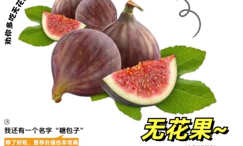 桃花能美容养颜吗-【桃花酒祛斑有效果吗】桃花祛斑有效果吗图片 - 桃花祛斑有效果吗网